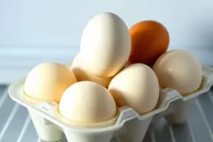 armazenamento de ovos