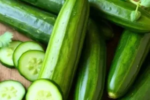 tipos de pepino