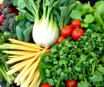 dicas para escolher verduras e legumes frescos