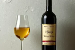 vinhos de guarda
