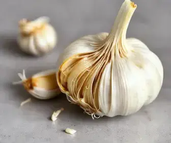 alho amargo