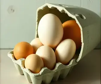 escolher e armazenar ovos